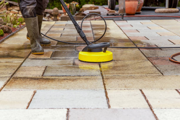 Animal Enclosure Cleaning in Clarkston, WA